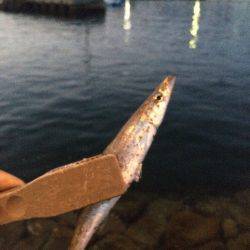 ライトゲームetc