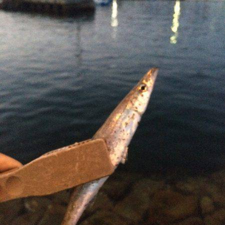 ライトゲームetc