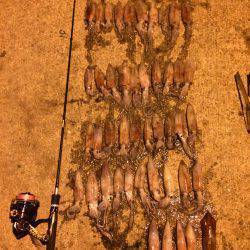 ライケン三回目