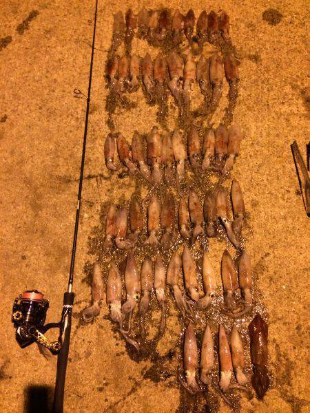 ライケン三回目