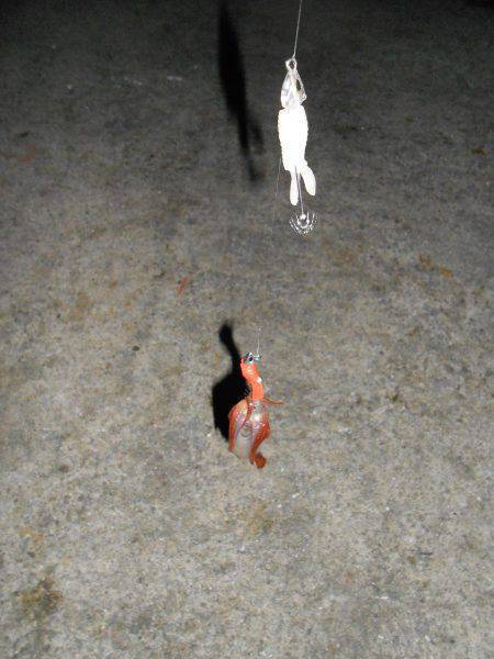 五目ジグヘッドエギDEケンサキ*\\\\\\\\(^o^)/*