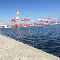 太刀魚のち尺アジ