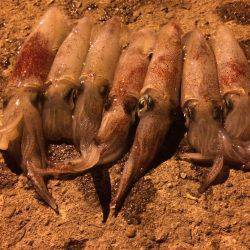 もう終わりか？