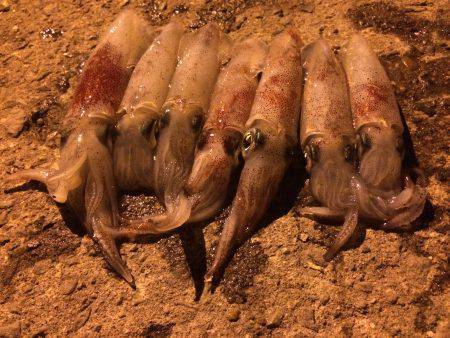 もう終わりか？