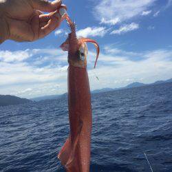 マイボートでイカメタル釣行