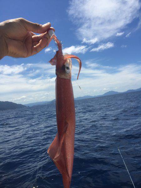 マイボートでイカメタル釣行