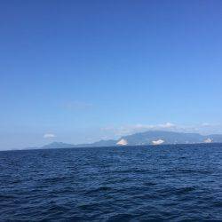 家島沖 丸アジ25〜35㎝