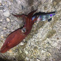 まだまだいますよね〜(^-^)