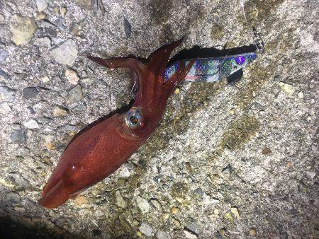 まだまだいますよね〜(^-^)