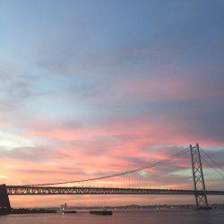 プリプリのアジ♪