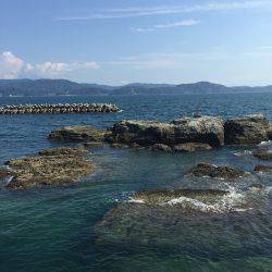 田ノ浦漁港エギング10回目