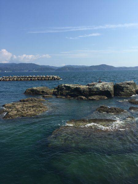 田ノ浦漁港エギング10回目