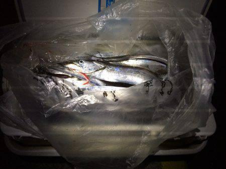 久々のタッチョ