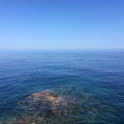 貧果投稿スミマセン