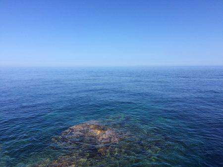 貧果投稿スミマセン