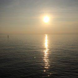 好調アジングゲーム♪