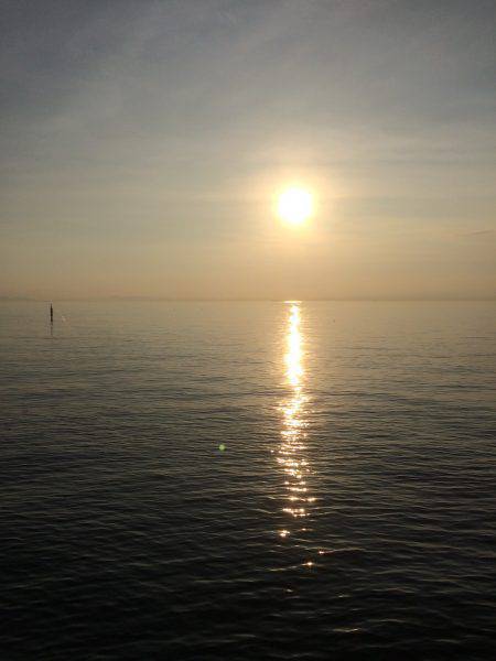 好調アジングゲーム♪