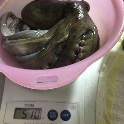 和歌山マリーナシティ海釣り公園