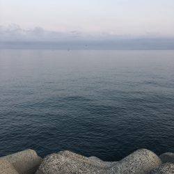 ワインドでサバ