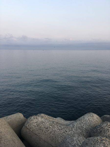 ワインドでサバ