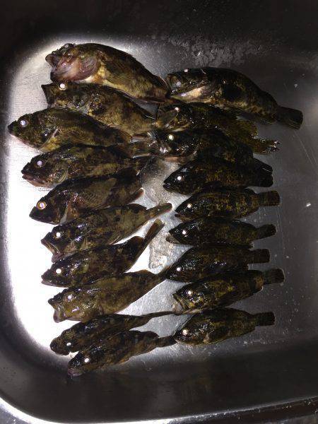 自作ワームでガシリング