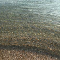 サーフフィッシング！