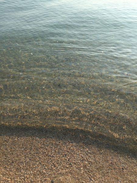 サーフフィッシング！