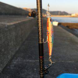 豆アジ、カマス