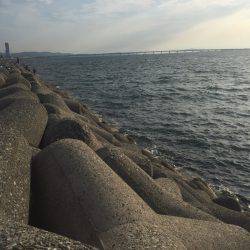 ショアジギング