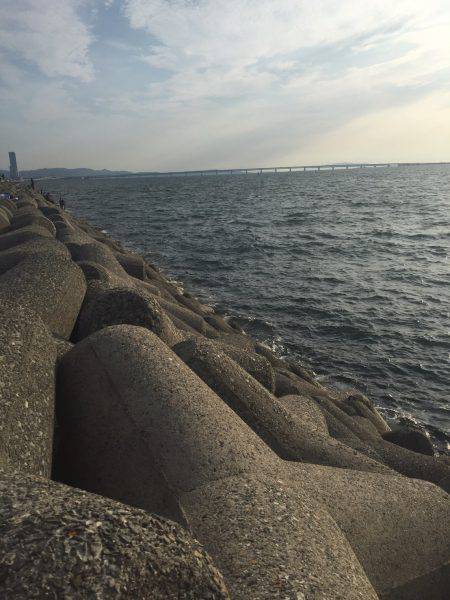 ショアジギング