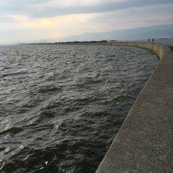 夕方タチウオワインド