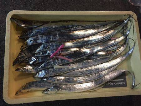 パーラダァイスでした（≧∇≦）