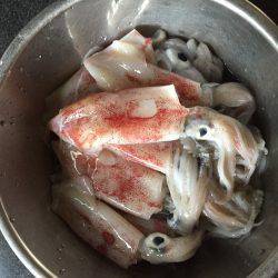 ケンサキ調査4日目