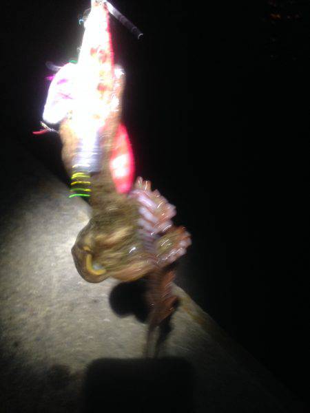 オクトパッシング