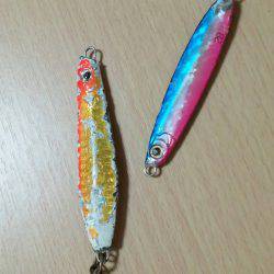 サゴシ、太刀魚GET！！