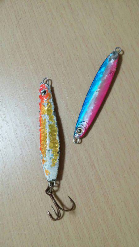 サゴシ、太刀魚GET！！