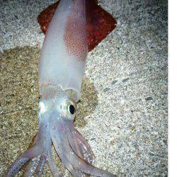 強風の中にて。