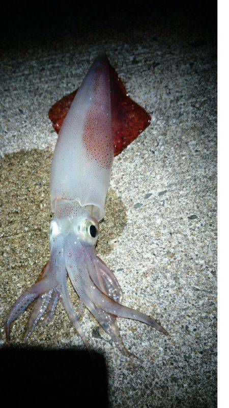 強風の中にて。