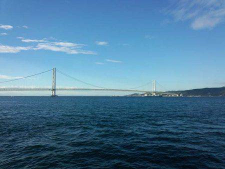 サイズアップ、大蔵海岸のケンサキイカ