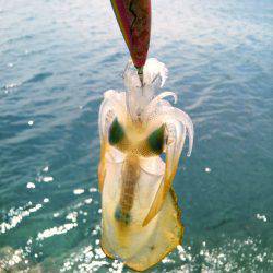 風に負けるな♪