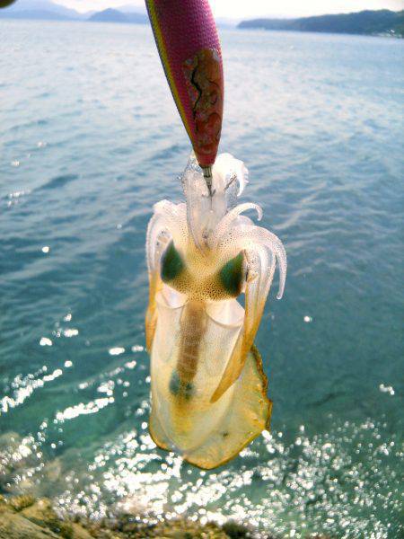 風に負けるな♪