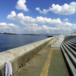 アジング祭りや～！まさかのツバス確保（驚）