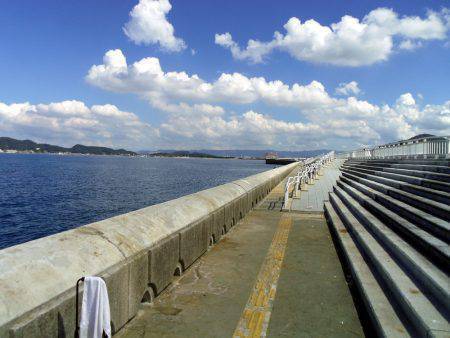 アジング祭りや～！まさかのツバス確保（驚）