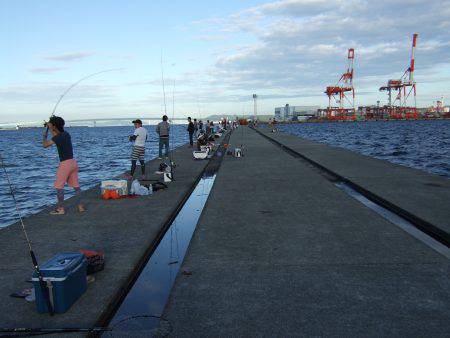 今年初タチウオ＼(^o^)／