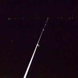 すこしの違いで釣果に差が。