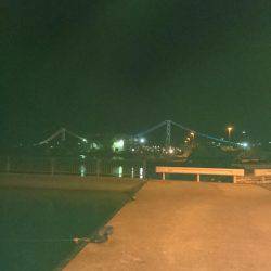 ライトエギング&アジング