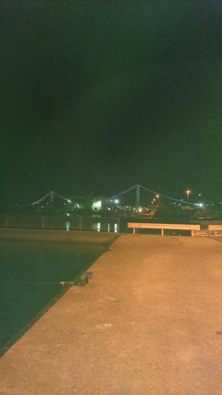 ライトエギング&アジング