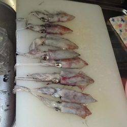 何とか釣れたー!