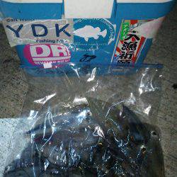 夕まづめから1時間ケンサキ乱舞!