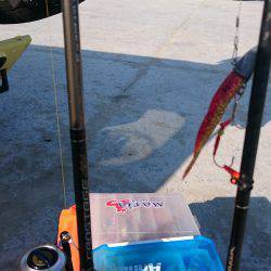 ランガン刀狩り